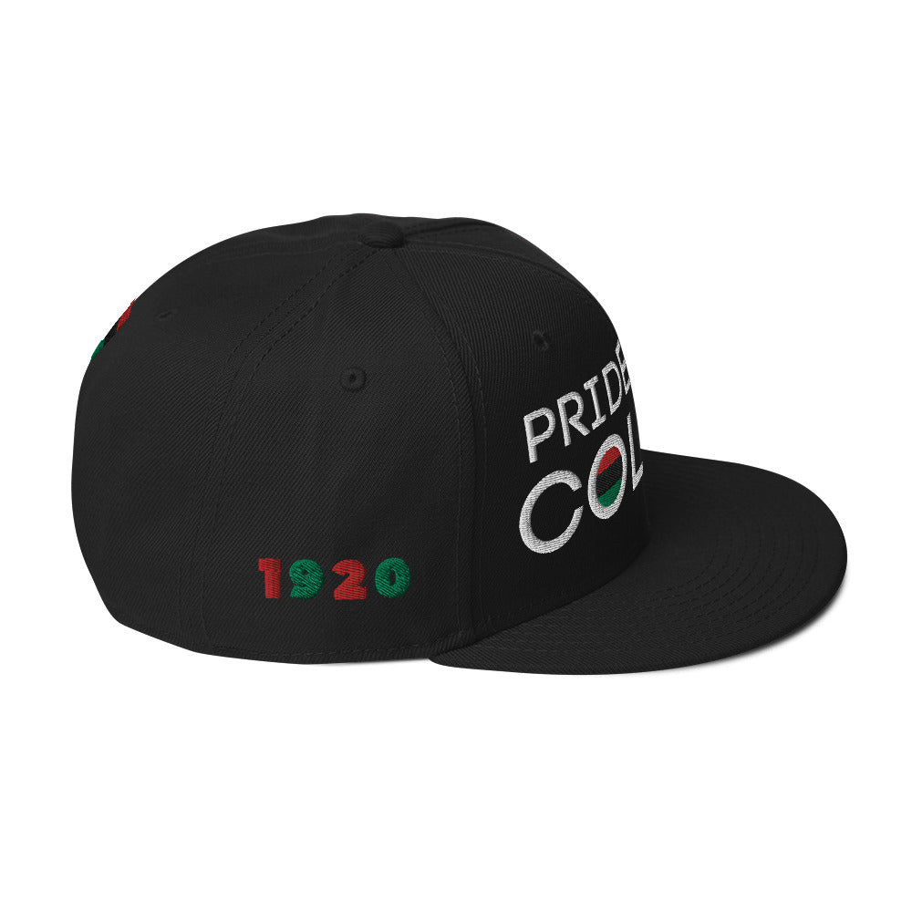 Pride In My Colors Black Snapback Hat